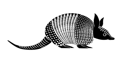a black and white armadillo