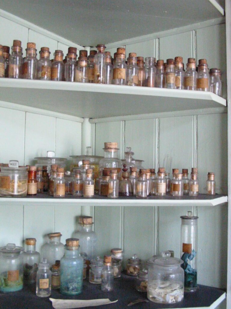 Chemicals in Hansen's laboratory